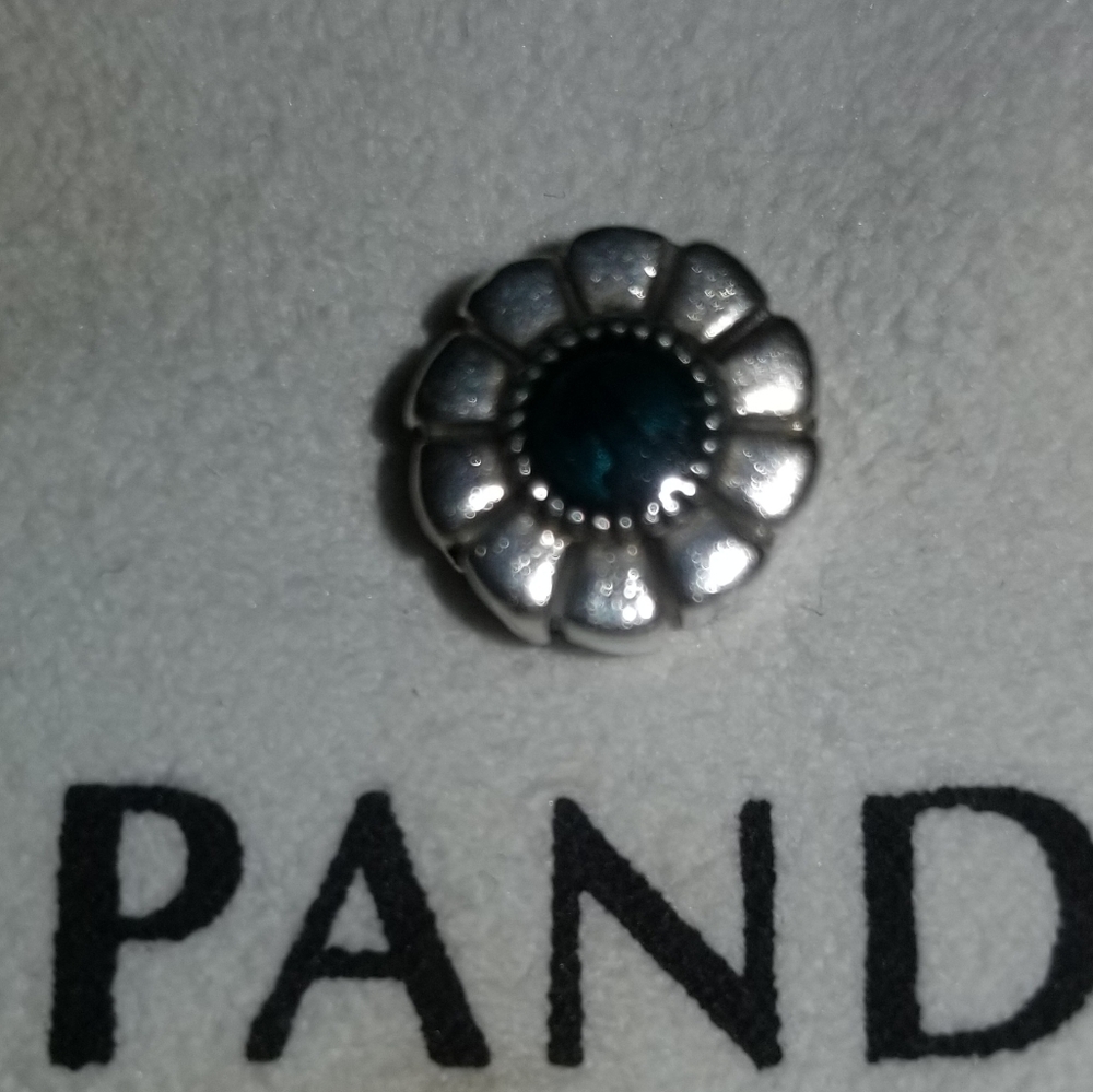 Authentic Pandora Charm